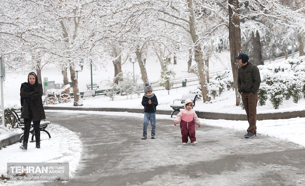 صبح برفی بوستان ملت