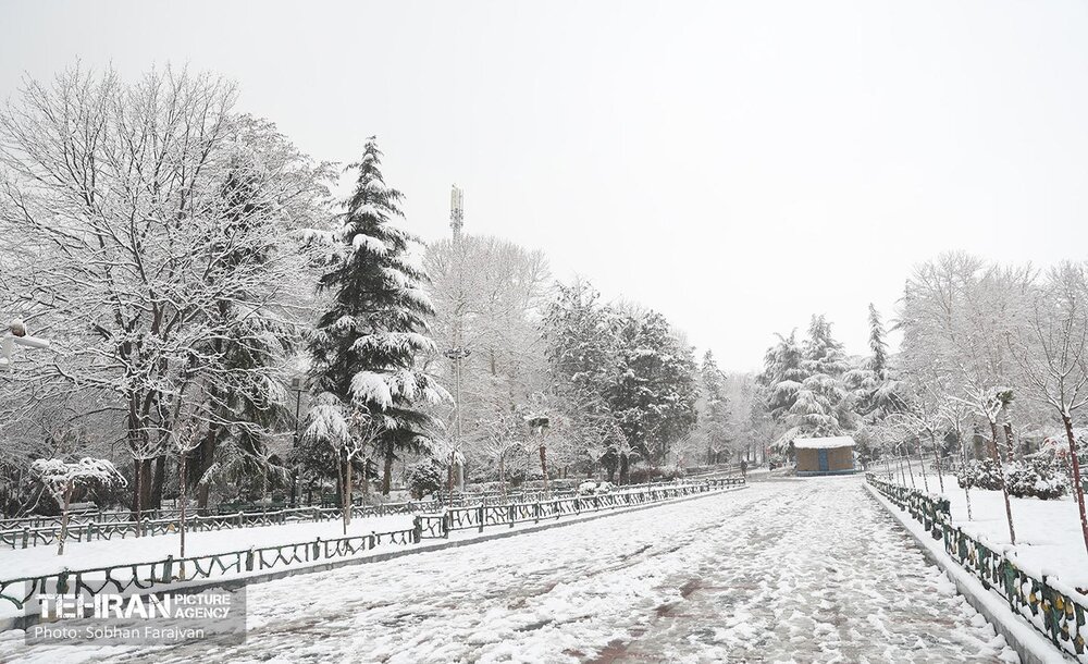 صبح برفی بوستان ملت