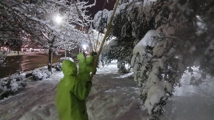 اجرای گسترده عملیات برف‌تکانی درختان و پاکسازی معابر بوستان‌ها در منطقه یک