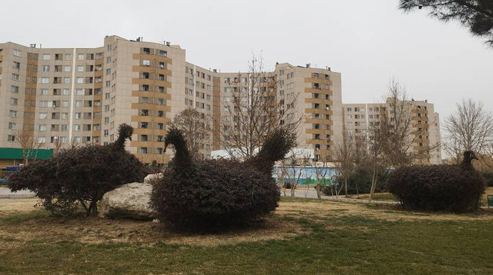 هرس فرم‌دهی زمستانه گونه‌های گیاهی مراتع و بوستان‌های جنوب‌غرب تهران