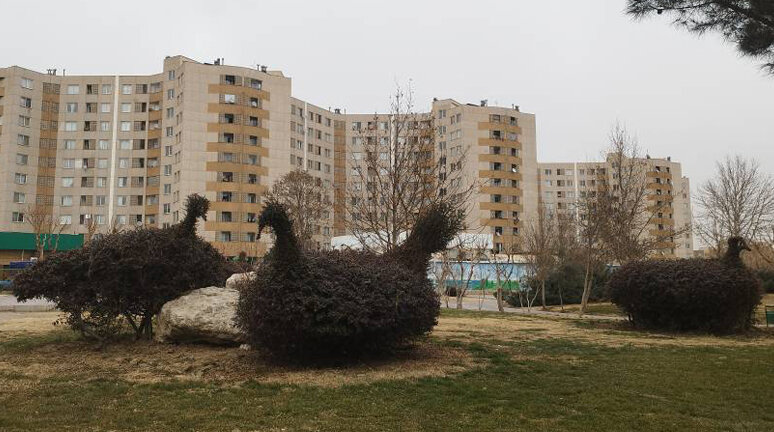 هرس فرم‌دهی زمستانه گونه‌های گیاهی مراتع و بوستان‌های جنوب‌غرب تهران