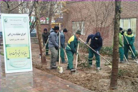 اجرای عملیات به‌زراعی به منظور بهبود بستر کاشت درختان و درختچه‌های فضای سبز منطقه ۱۱
