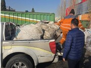 تداوم اجرای طرح مقابله با پدیده زباله‌گردی در منطقه ۲۲