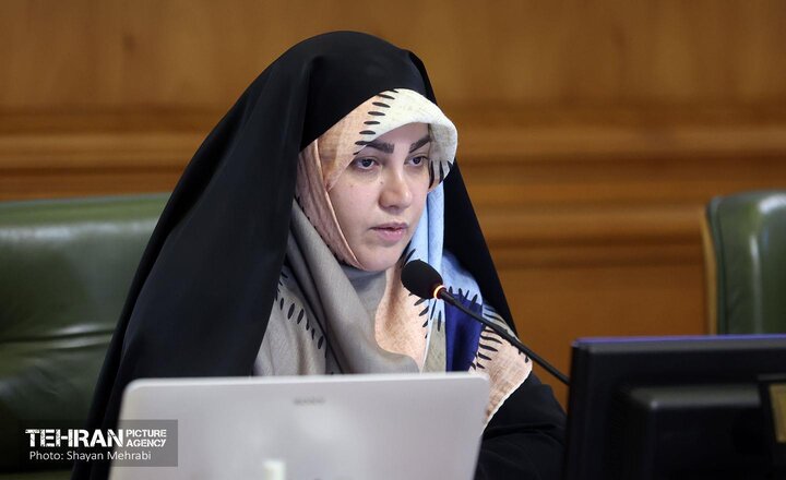 نباید فرد ارشد یک حزب سیاسی در یک هیئت نظارتی انتخاباتی قرار گیرد