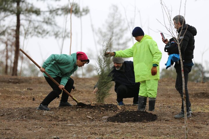 کاشت ۶۰ هزار نهال در پویش‌های احیای بوستان جنگلی چیتگر