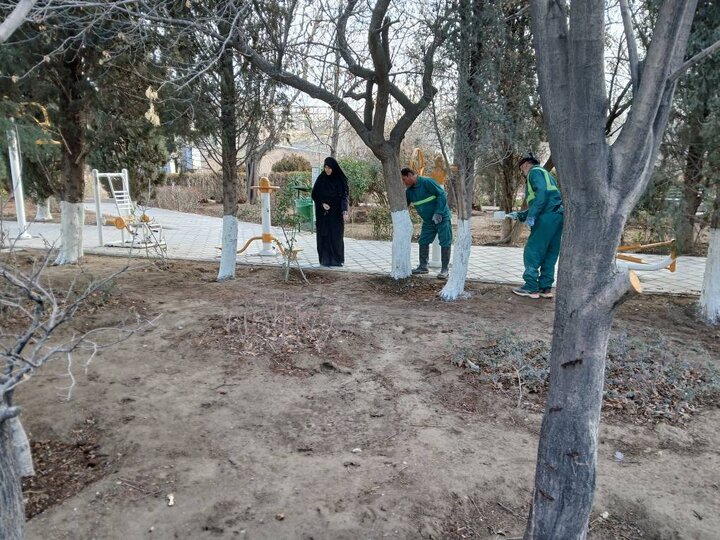 حفاظت از فضای سبز منطقه ۲۲ با اجرای طرح باندینگ درختان