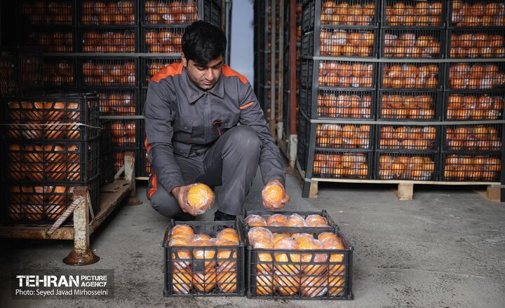 بازدید شهردار تهران از انبارهای ذخیره‌سازی اقلام اساسی ویژه ماه رمضان و نوروز