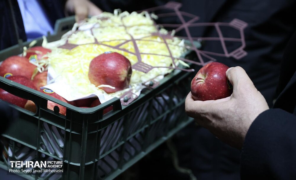 بازدید شهردار تهران از انبارهای ذخیره‌سازی اقلام اساسی ویژه ماه رمضان و نوروز