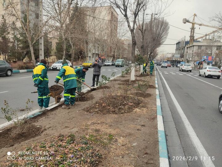  آغاز طرح‌های استقبال از بهار در منطقه ۸ با محوریت زیباسازی شهری و توسعه فضای سبز 
