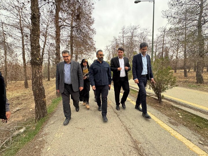 توسعه زیرساخت‌ها و اجرای طرح‌های گسترده عمرانی در بوستان بانوان ریحانه