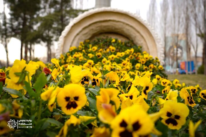 طرح استقبال از بهار در منطقه ۸ با رنگ‌آمیزی، پاکسازی و ساماندهی فضاهای شهری