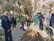 کاشت نهال در بوستان شهیدان عسکری (نیلوفر)