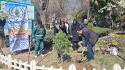 ریشه در ایثار، قدکشیده تا آسمان؛ پویش درختکاری در دارالشهدای تهران