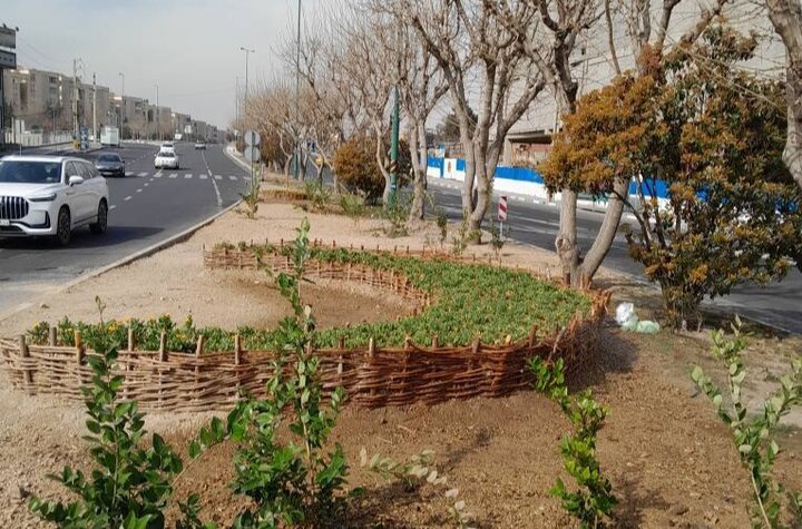 ساخت ۵۰ سبد گل و گیاه از شاخه‌های هرس‌شده در منطقه ۲۲