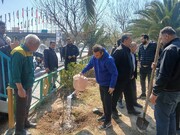 کاشت ۷۵۰ نهال امید در بوستان‌های منطقه ۱۷؛ همدلی شهروندان برای شهری سبزتر