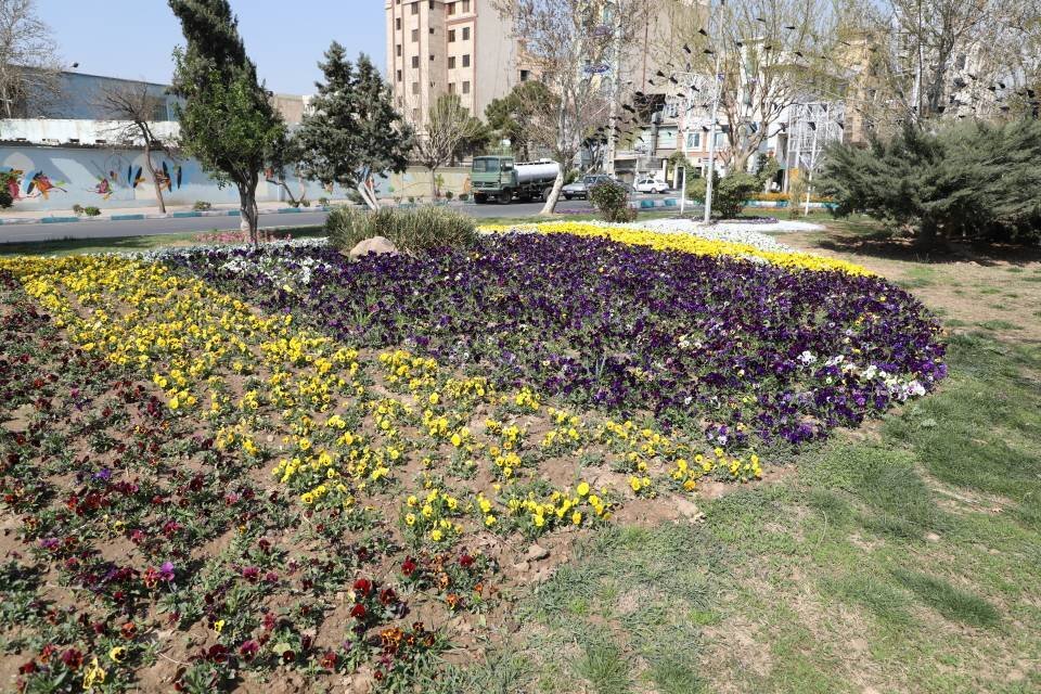 استقبال منطقه ۱۳ از بهار با کاشت ۱۵ هزار نشاء فصلی و اجرای فرش گل در منطقه ۱۳