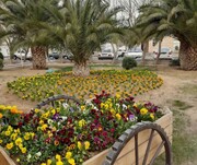 معابر و میادین منطقه ۱۷ غرق در عطر و رنگ بهار شدند