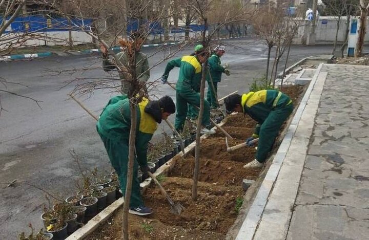  کاشت ۱۷۶۰ اصله درختچه در منطقه یک؛ تداوم خدمت جهادی در آستانه بهار استوار ایران