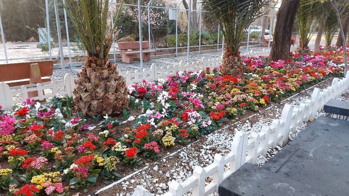 معابر و میادین منطقه ۱۷ غرق در عطر و رنگ بهار شدند