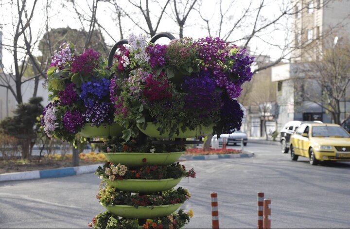 تداوم خدمت‌رسانی در منطقه ۱۶؛ از توزیع ۳۵۰۰ نهال مثمر تا کاشت ۳۶ هزار گل فصلی در جریان «جنگ رمضان»