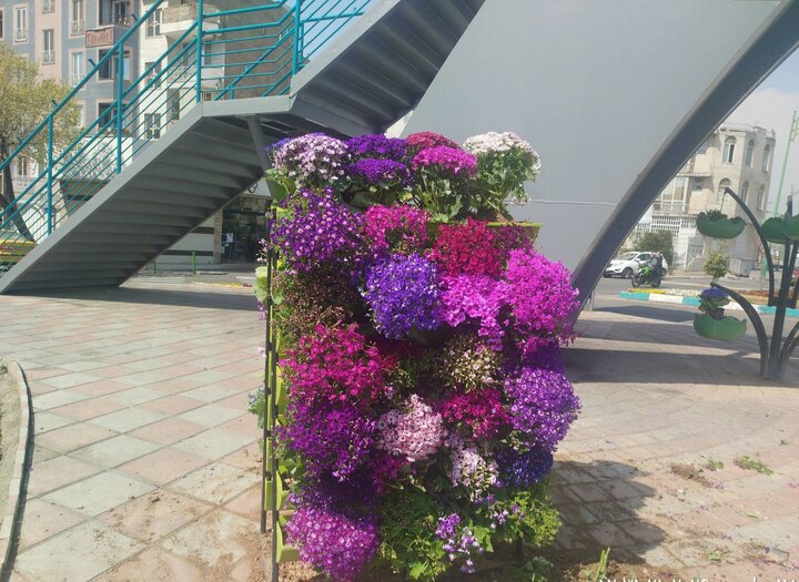 جلوه‌ای تازه از بهار در منطقه ۱۳ با استقرار گلجای‌های نوروزی