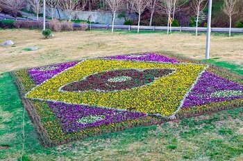 فرش‌های گل زینت‌بخش بزرگراه‌های منطقه ۲ شد