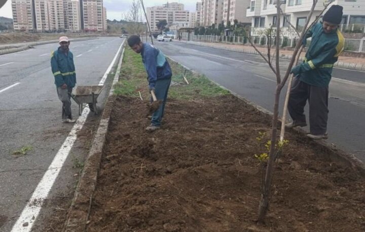 چهره تازه در بلوار شهید سلیمی‌زاده؛ اجرای عملیات گسترده بازپیرایی فضای سبز