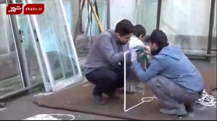 گروه‌های جهادی پای کار ایران
