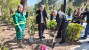 غرس بیش از ۱۰۰ اصله نهال در بوستان شهر همزمان با روز طبیعت