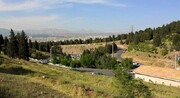 تمرکز شهرداری پایتخت بر جبران عقب‌ماندگی‌های فضای سبز