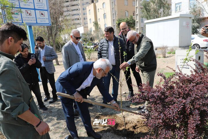 توزیع و کاشت نهال‌های مثمر در بوستان‌های منطقه ۲۲ به مناسبت روز طبیعت