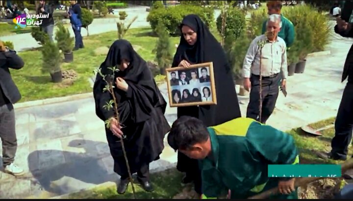 کاشت نهال به یاد شهدا