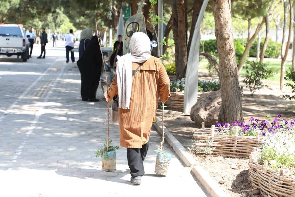 کاشت و اهدای هزار نهال مثمر به شهروندان در بوستان پیروزی منطقه ۱۳