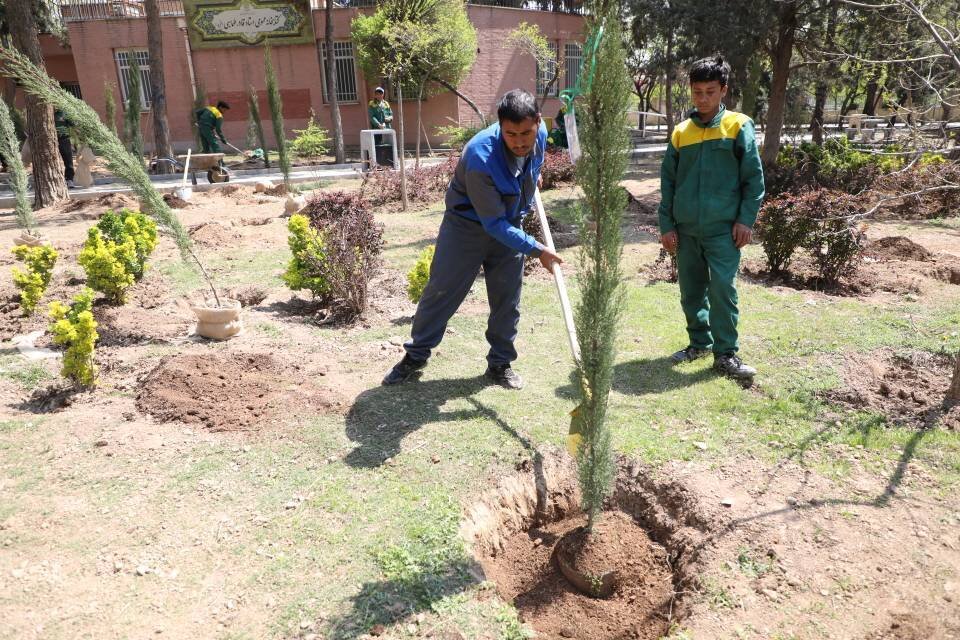 کاشت و اهدای هزار نهال مثمر به شهروندان در بوستان پیروزی منطقه ۱۳