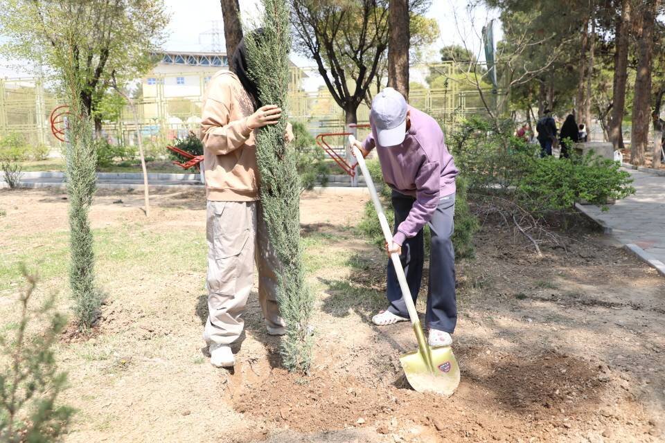 کاشت و اهدای هزار نهال مثمر به شهروندان در بوستان پیروزی منطقه ۱۳
