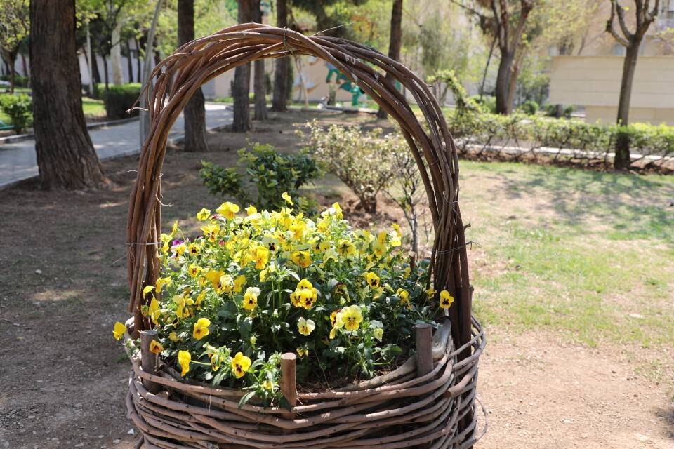 برگزاری آیین سیزدهبدر و دورهمی خانوادگی در بوستانهای منطقه ۱۳