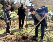 درختکاری روز طبیعت در منطقه ۵؛ نهال‌هایی به یاد قهرمانان وطن