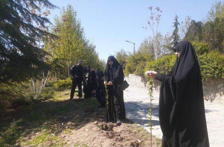 غرس نهال‌های مثمر در بوستان جوانمردان به یاد شهدای والامقام
