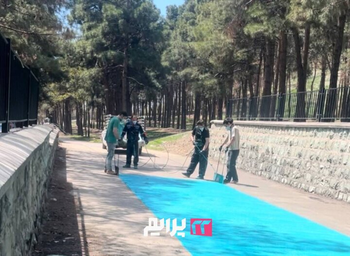 مسیر دوچرخه‌سواری بوستان جنگلی چیتگر رنگ‌آمیزی و نونوار شد