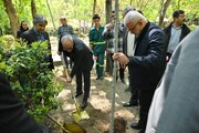 بوستان قیطریه میزبان نهال‌های تازه در روز تولد امام شهید بود