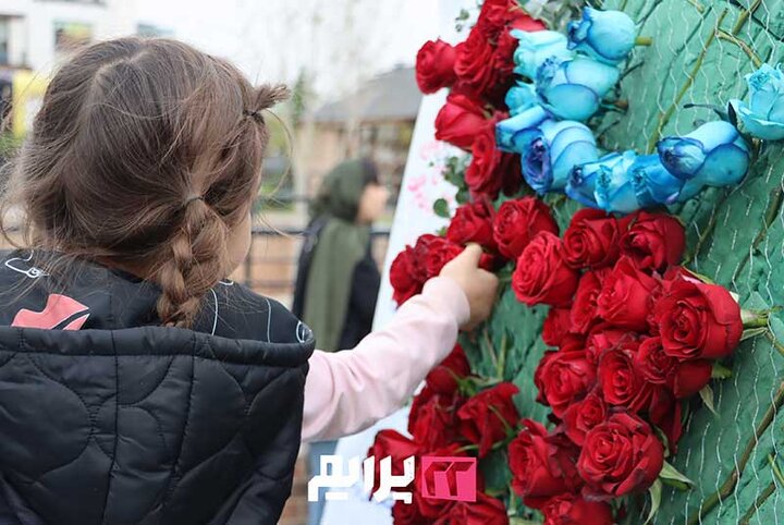 شاخه گلی برای ایران
