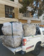 جمع‌آوری عوامل غیرمجاز پسماند در پهناورترین منطقه شهر