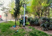 نصب برج‌های نوری مدرن در بوستان‌های سدروس و آلاله/ کاهش ناهنجاری‌های اجتماعی با تامین روشنایی بوستان‌ها