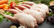 قیمت گوشت بلدرچین اعلام شد