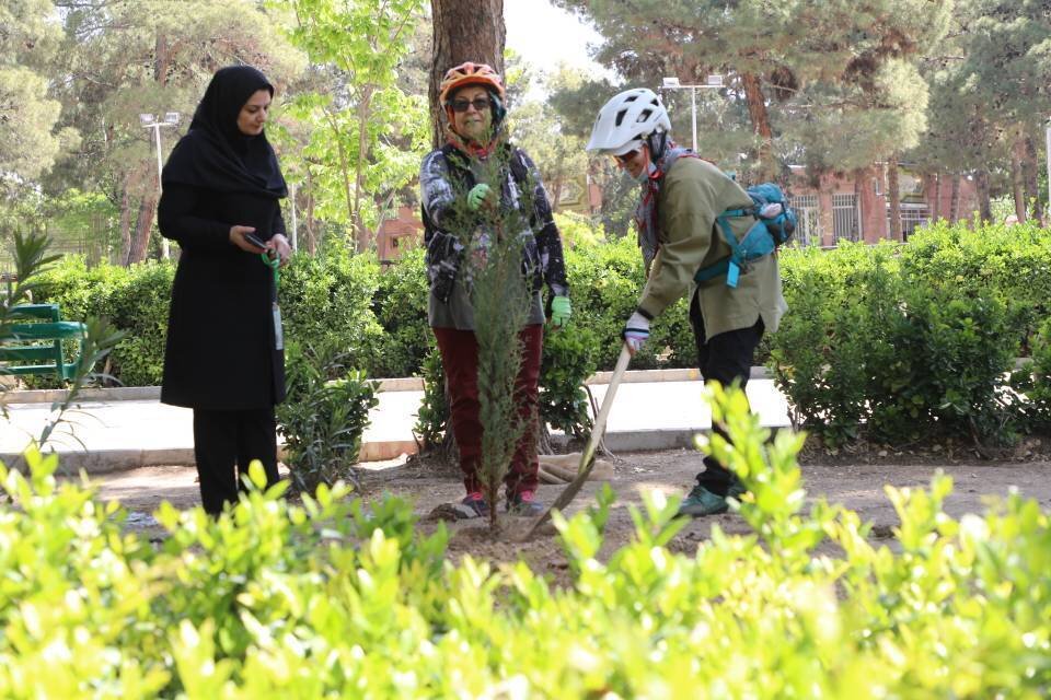 بیش از ۲۰۰۰ اصله نهال در منطقه ۱۳ کاشته شد