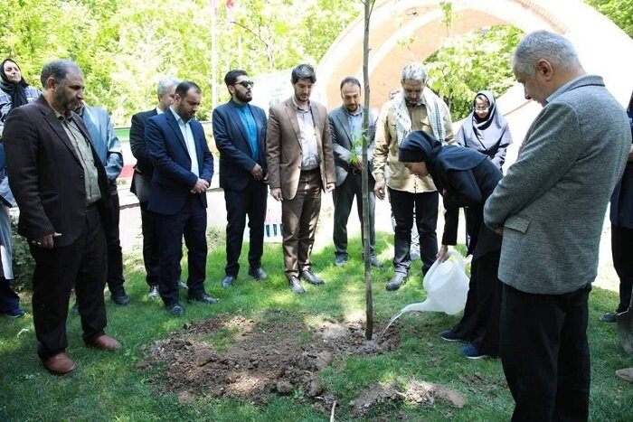 هر درخت، یک نفس؛ کاشت ۱۰ نهال به نام شهدای جنگ سوم تحمیلی در منطقه ۷ تهران