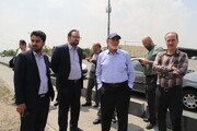 بررسی طرح سرمایه‌گذاری زون عمده‌فروشی در میدان میوه و تره‌بار