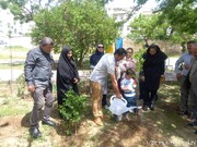 کاشت نهال به نام نوزادان تازه متولد شده منطقه ۲۲