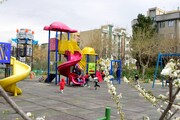افزایش سرانه ورزشی و گسترش نشاط اجتماعی در منطقه ۱۴