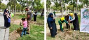 کاشت نهال به نام نوزادان تازه متولد شده در منطقه ۲۰